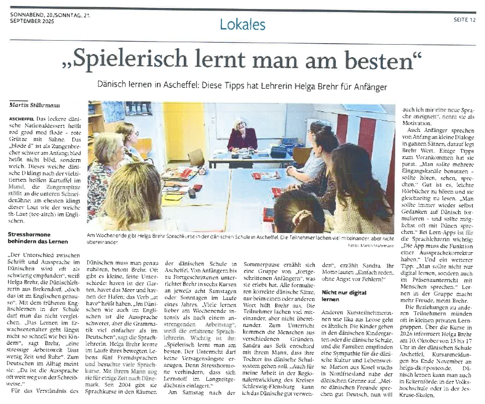 tysk artikel om danskundervisningen